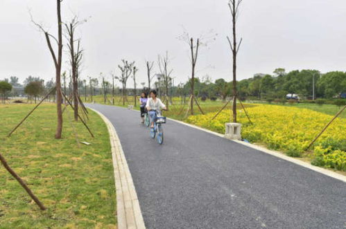 綿陽再添綠色新名片 大型公園試開園，園林綠化工程圓滿竣工