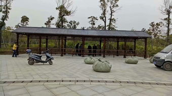 生態木花架與體育場地設施工程施工 價格、耐用性與施工指南