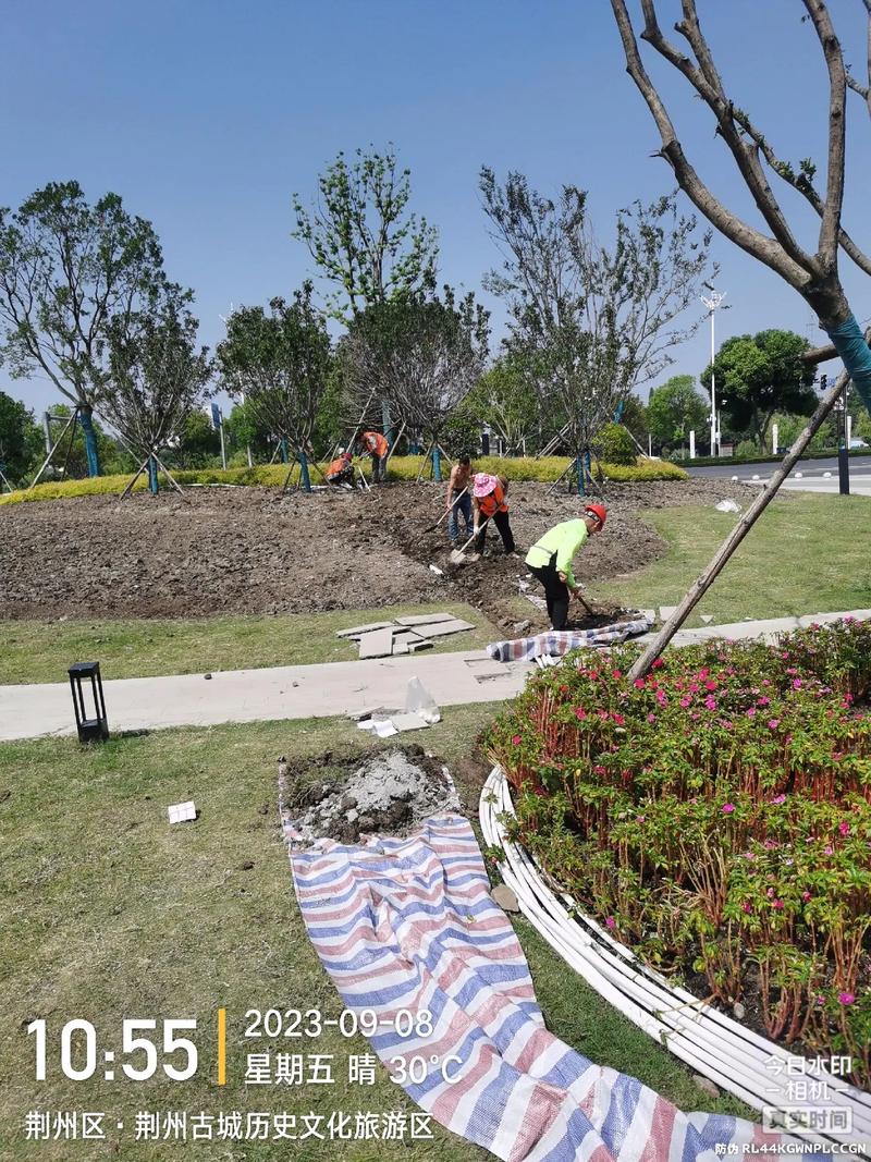 現(xiàn)場(chǎng)實(shí)拍 體育場(chǎng)地設(shè)施工程施工——景區(qū)建設(shè)中的園林綠化工程新篇章